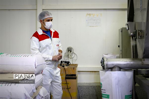 از تولید تا فرآوری تخم مرغ