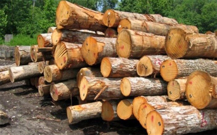 کشف و ضبط ۳۵۰۰ متر مکعب چوب از قاچاقچیان