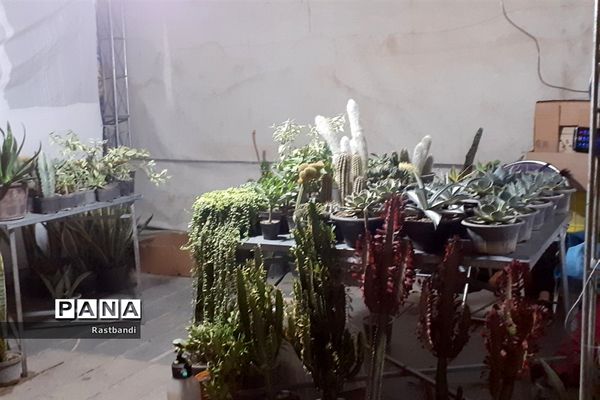 جشنواره وحدت اقوام ایرانی در دریاچه شهدای خلیج فارس