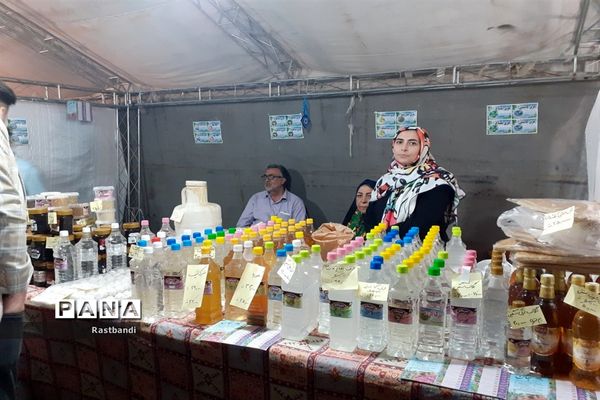 جشنواره وحدت اقوام ایرانی در دریاچه شهدای خلیج فارس