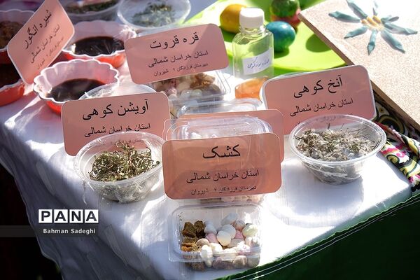 اختتامیه پنجمین کارسوق ملی مهندسی ژنتیک