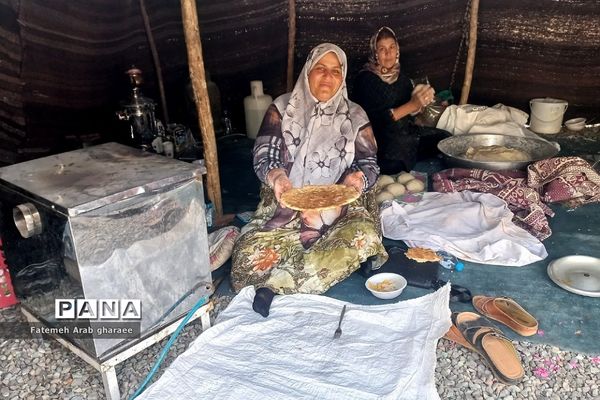 سومین دوره جشنواره انار در پاکدشت