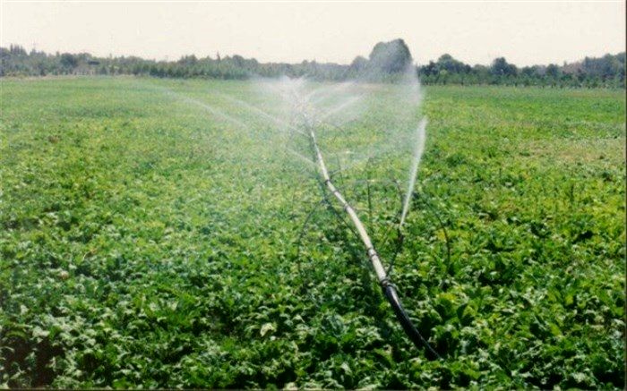 اختصاص بخشی از منابع بانک کشاورزی به اجرای طرح الگوی کشت