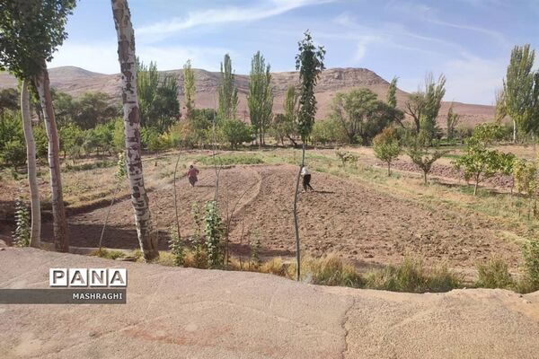 نخستین همایش «بازنمایی هویت روستایی» در شهرستان کاشان