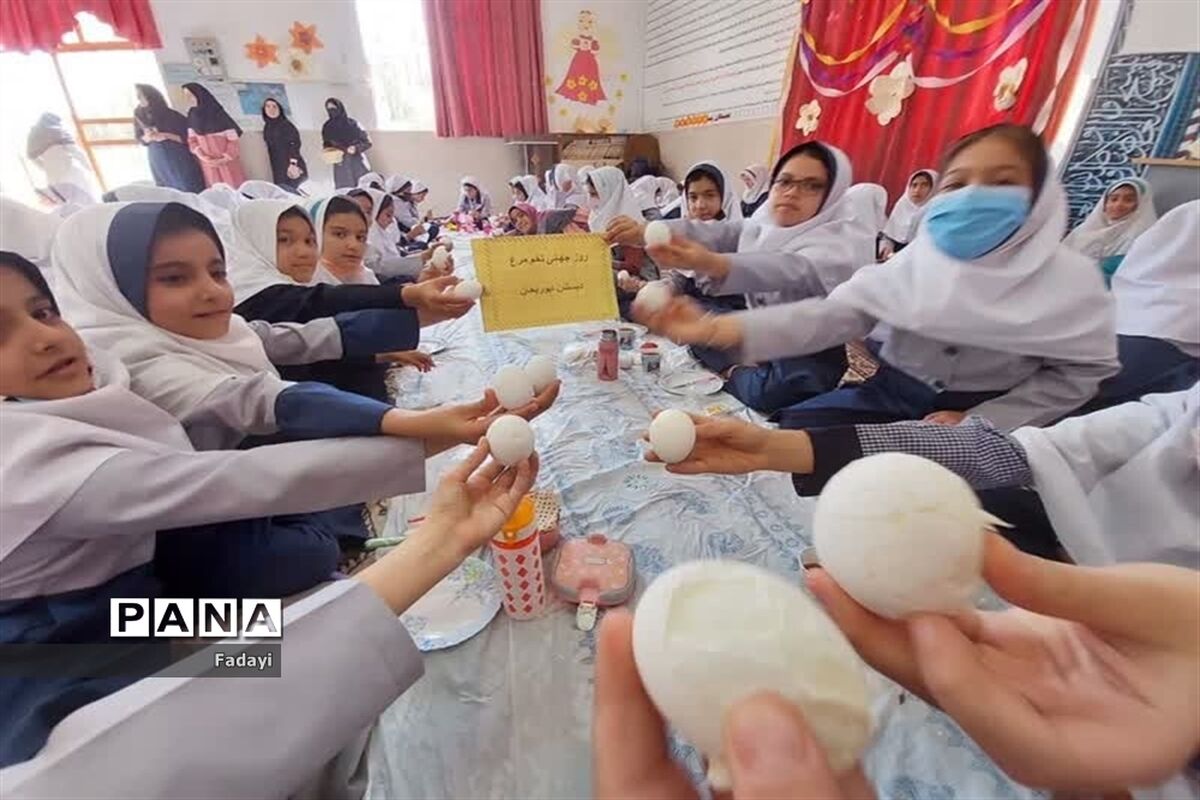 همه چیز درباره سوپرغذایی به نام تخم‌مرغ‌