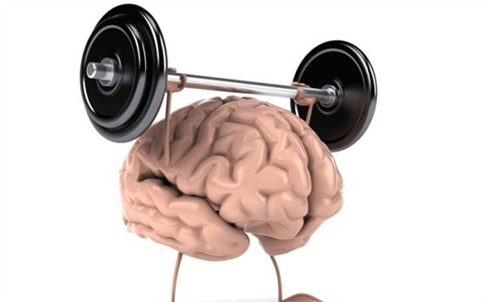 برای تقویت حافظه چه بخوریم؟