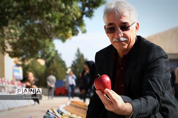 برگزاری جشنواره سیب مراغه