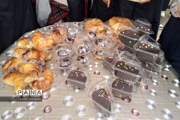 جشنواره دانش‌آموزی کارآفرینی در قائمشهر