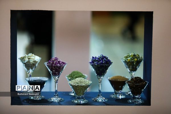 ششمین نمایشگاه گیاهان دارویی و طب سنتی ایران