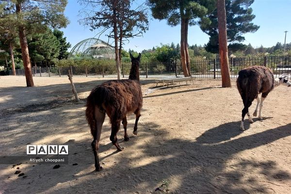 آشنایی با مجموعه تفریحی دریاچه چیتگر