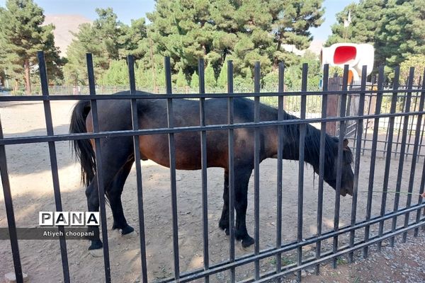 آشنایی با مجموعه تفریحی دریاچه چیتگر