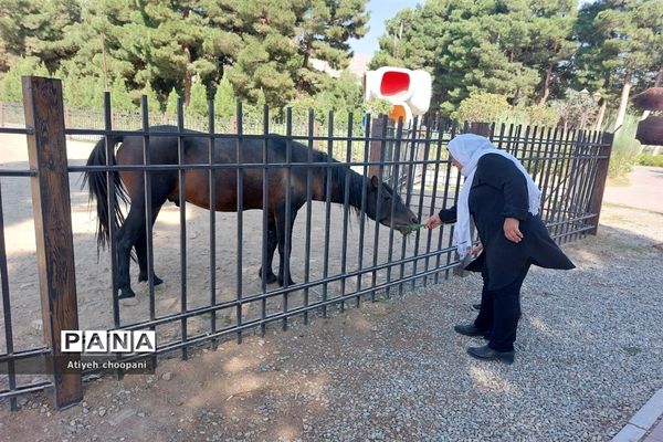 آشنایی با مجموعه تفریحی دریاچه چیتگر