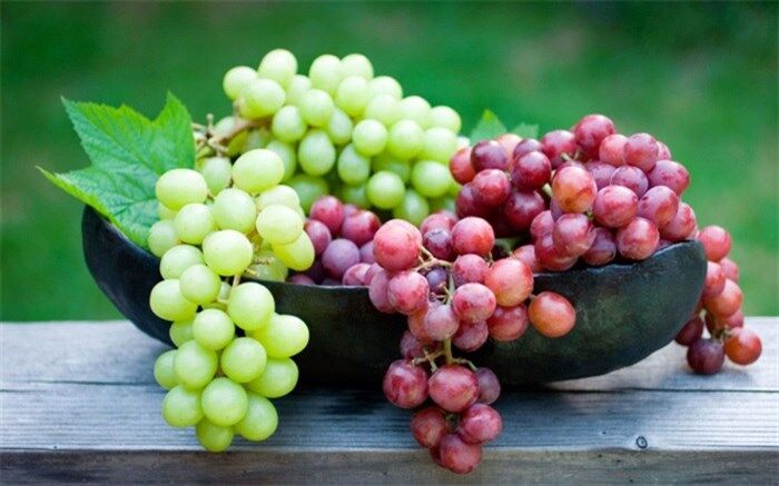 خاصیت ضد سرطانی، ضد باکتریایی و ضد ویروسی انگور