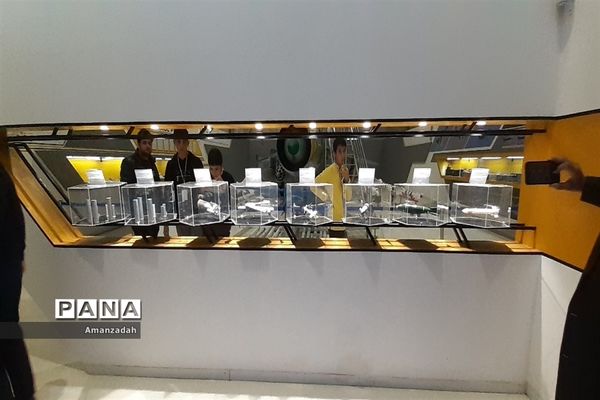 برگزاری اردوی راهیان پیشرفت ویژه دانش‌آموزان سازمان دانش آموزى