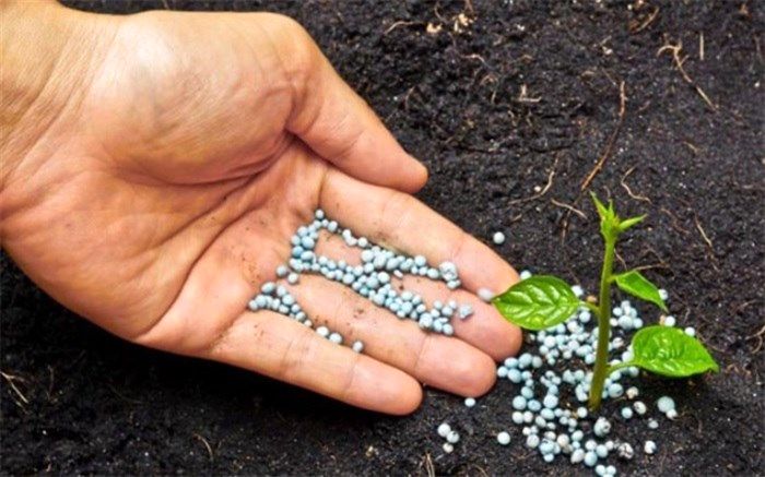 صدور ۱۱۴۰ شماره ثبت کیفیت برای برند کودهای کشاورزی از ابتدای سال تا شهریور