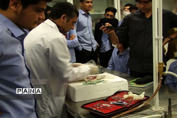 گرامیداشت روز آزمایشگاه در مدارس قم