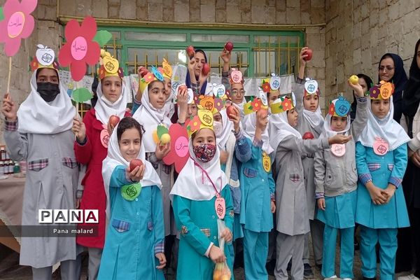 افتتاحیه طرح سفیران سلامت در مدارس ملارد