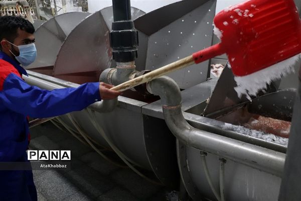 کشتارگاه مرغ مرند