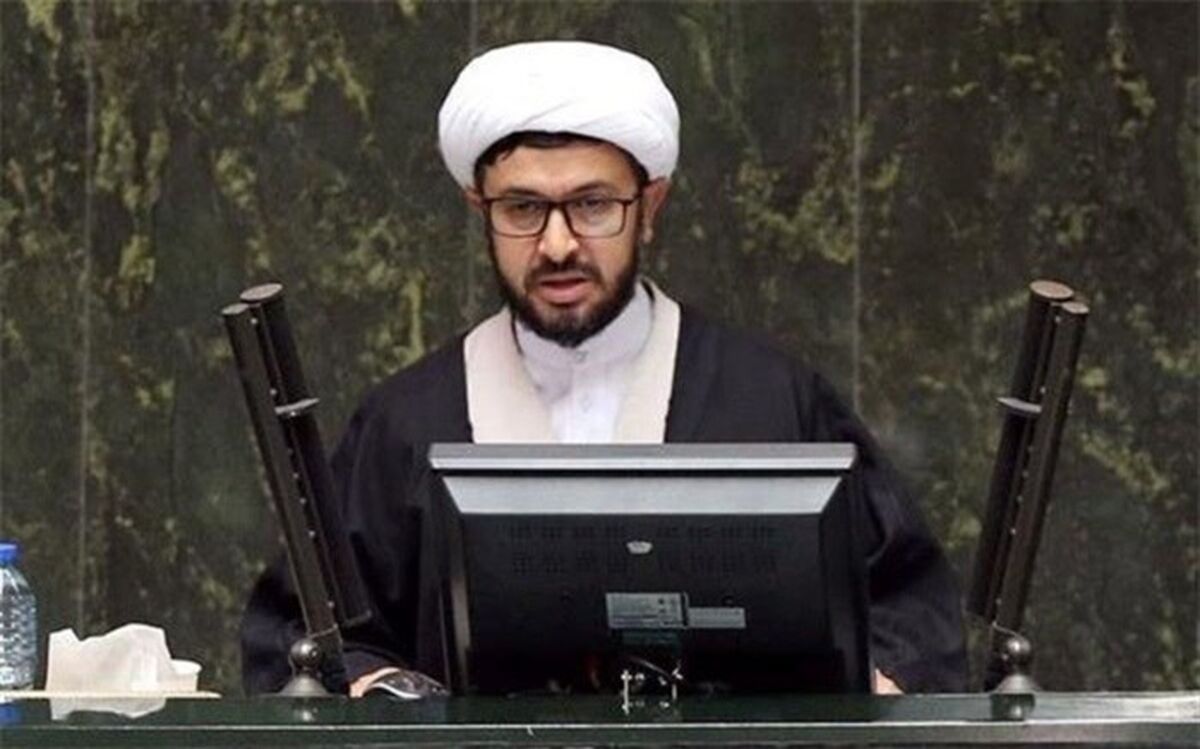طرح 313 سبب الگوگیری نسل امروز از سرمایه‌های هویتی کشور می‌شود