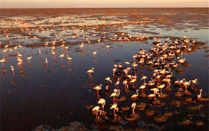 پیوستن ورزنه به شهرهای تالابی تعهدی جهانی برای حفظ گاوخونی است