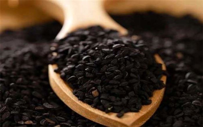 کاهش قیمت سیاه‌دانه از ۱۱۰ به ۷۰ هزار تومان با تکمیل زنجیره ارزش