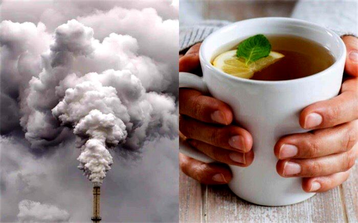 بهترین و بدترین خوراکی‌ها در زمان آلودگی هوا