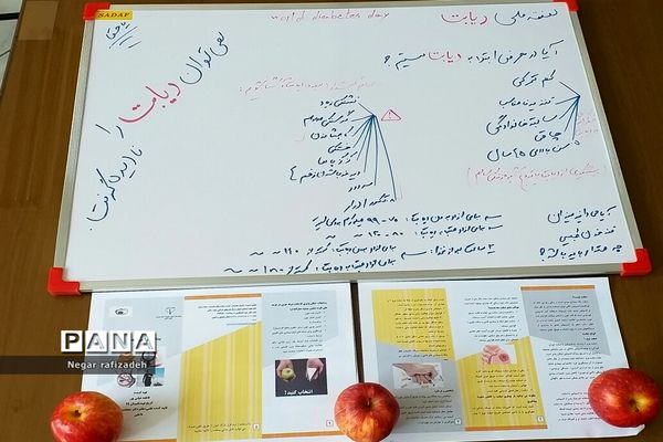 کارگاه آموزشی با موضوع دیابت در مدرسه شهید‌همت ملارد