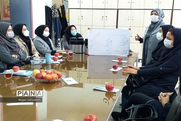 کارگاه آموزشی با موضوع دیابت در مدرسه شهید‌همت ملارد