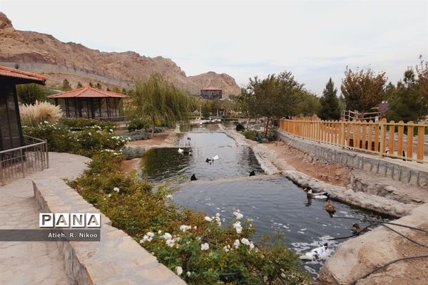 اردوی دانش‌آموزان شاهد رضویان قم در باغ پرندگان
