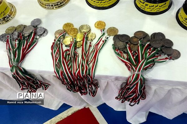 مسابقات قهرمانی بوکس جوانان استان مازندران