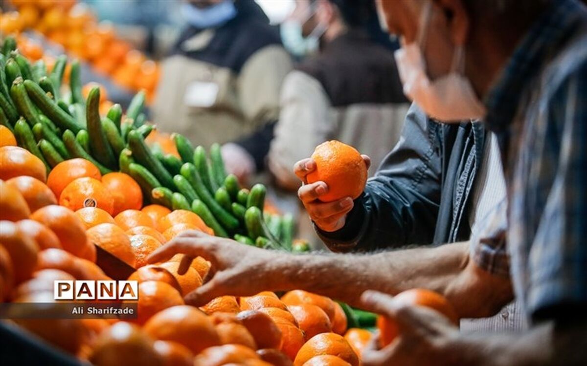 رشد ۵۱ درصدی تسهیلات پرداختی بانک کشاورزی به باغداران
