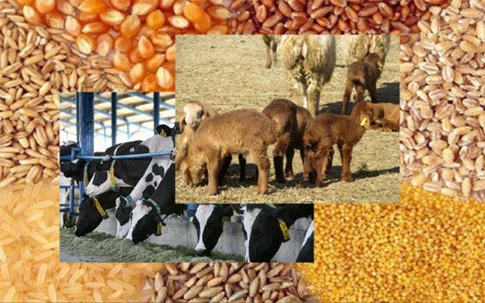 حمایت از دامداران با تهاتر دام با نهاده