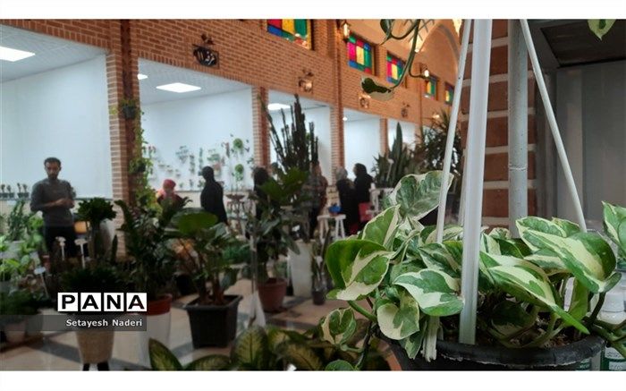 نمایشگاه گل و گیاه در شهرستان قرچک /فیلم