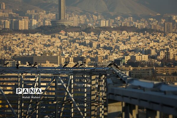 آلودگی هوای تهران