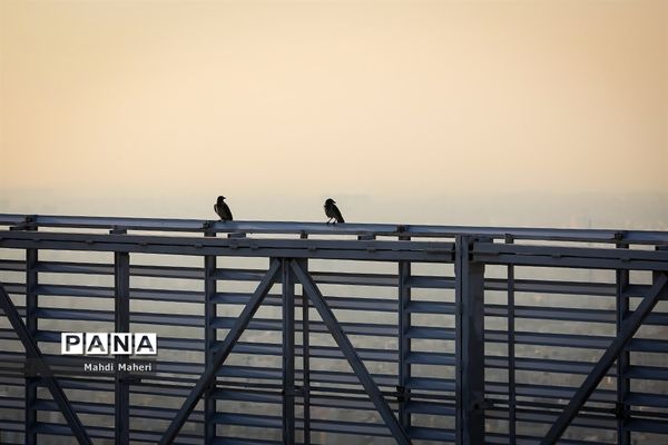 آلودگی هوای تهران