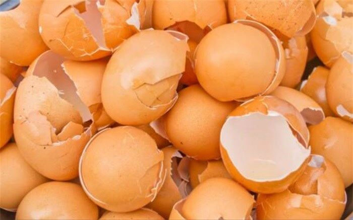 پوست تخم‌مرغ چه خواصی دارد؟