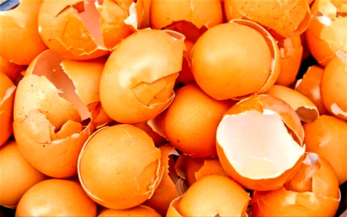 پوست تخم‌مرغ چه خواصی دارد؟