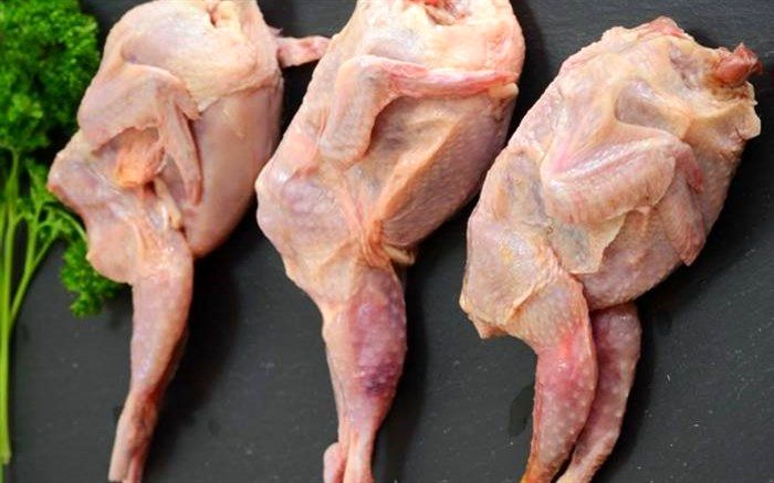 گوشت بلدرچین چه خواصی دارد؟