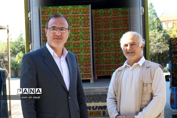 بازدید از واحدهای بسته‌بندی و صادرات مرکبات در میاندورود