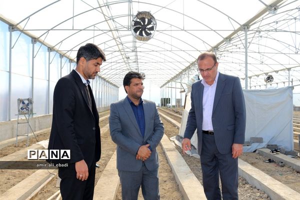 بازدید از واحدهای بسته‌بندی و صادرات مرکبات در میاندورود