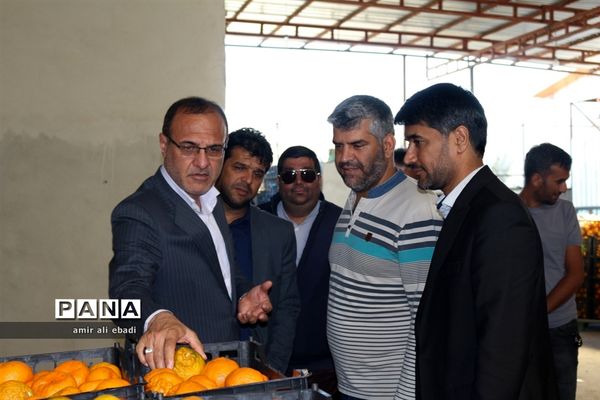 بازدید از واحدهای بسته‌بندی و صادرات مرکبات در میاندورود