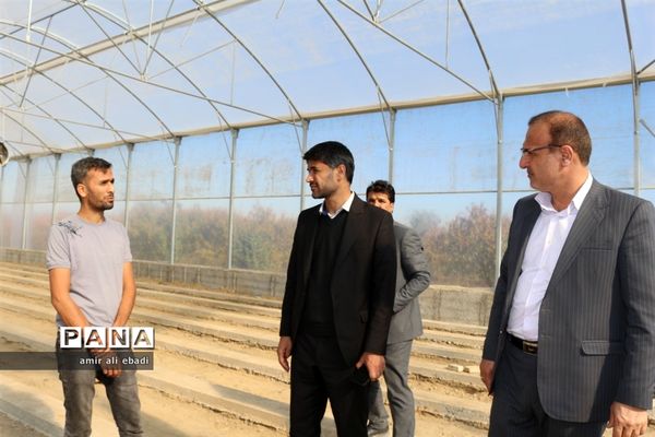 بازدید از واحدهای بسته‌بندی و صادرات مرکبات در میاندورود