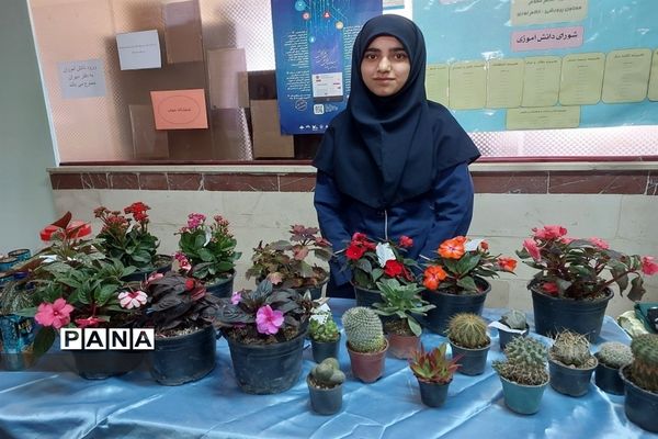 برگزاری بازارچه کسب‌و‌کار در مدارس منطقه ایجرود