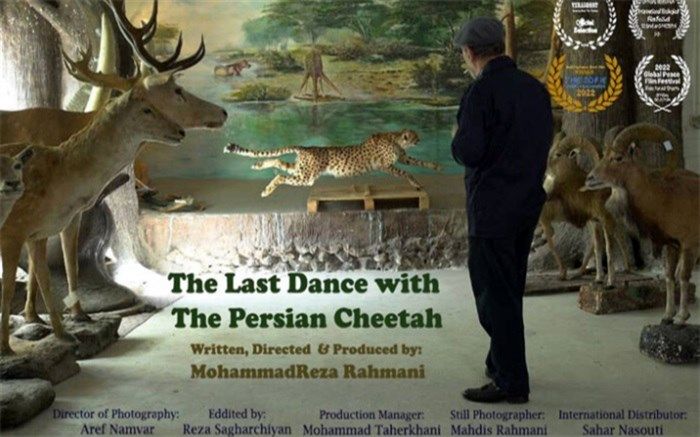 جایزه «آخرین رقص با یوزپلنگ ایرانی» از یک جشنواره آمریکایی