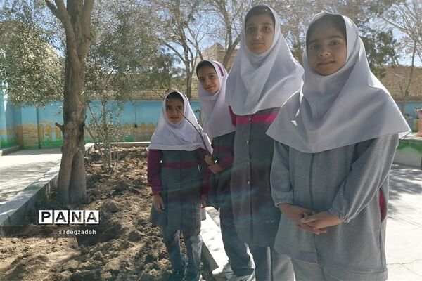 مراسم روز درختکاری در مدرسه حضرت زینب شهرستان خاتم