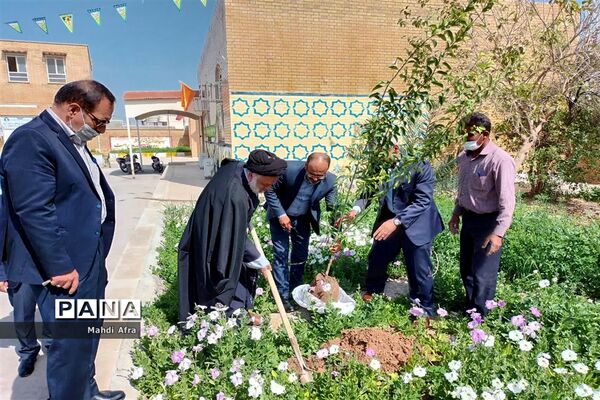 کاشت چند اصله درخت به مناسبت روز درختکاری در اداره آموزش و پرورش بهبهان