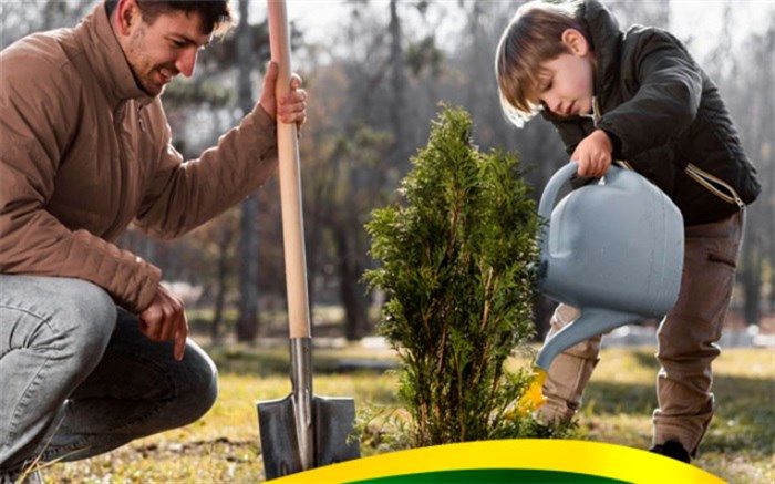 درخت را با قلب می‌‌کارند، نه با دست