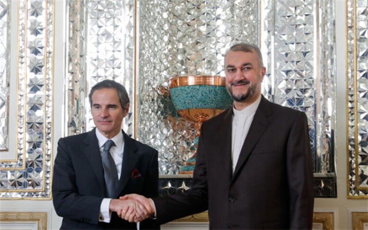 گروسی با امیرعبداللهیان دیدار می‌کند