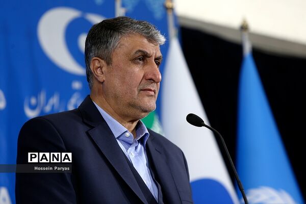 کنفرانس مطبوعاتی مشترک رئیس سازمان انرژی اتمی ایران و مدیرکل آژانس بین‌المللی انرژی اتمی