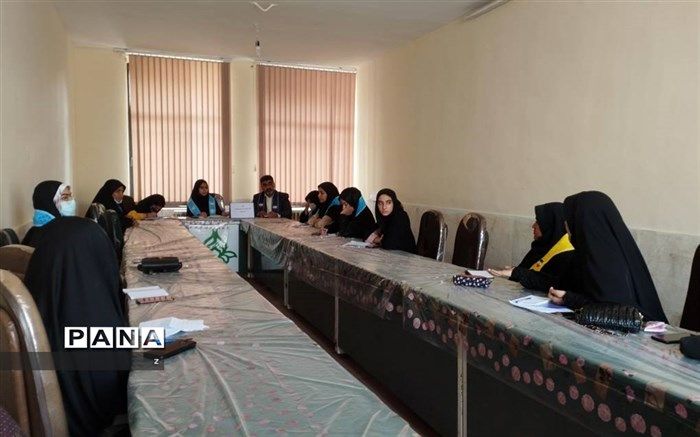 مجلس دانش‌آموزی یکی از ارکان مهم و سرنوشت‌ساز در سازمان دانش‌آموزی  است